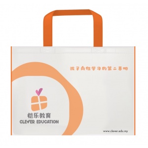 恺乐 CLEVER Recycle Bag 环保袋 (Big 大）